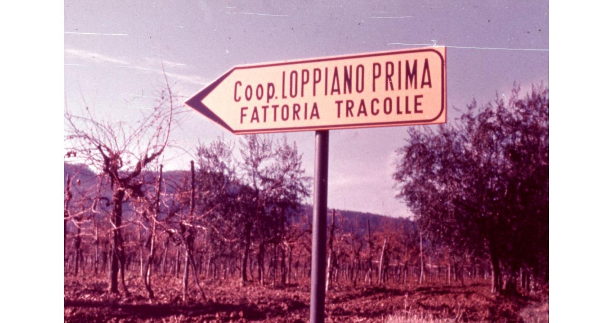 Agriturismo Fattoria Di Loppiano Regina Mundi Villa Vivajo Eksteriør bilde