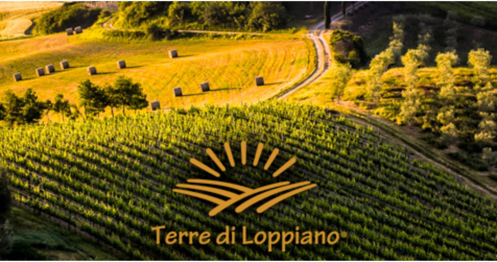 Agriturismo Fattoria Di Loppiano Regina Mundi Villa Vivajo Eksteriør bilde